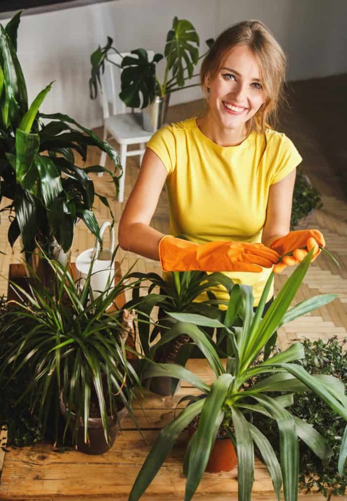 taking care of plants with hands