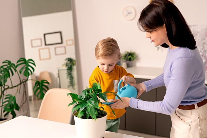 watering plants with kids