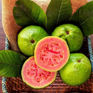 Guava Red 30 - 50cm