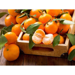 Citrus Mandarin 30 - 50cm