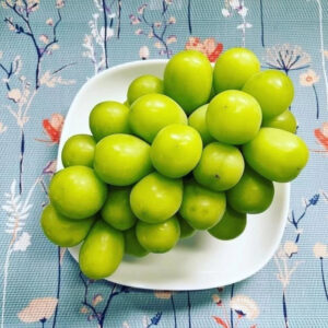 Grapes Shinme Muscat 30 - 50cm