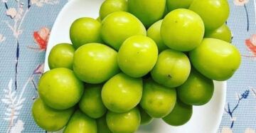 Grapes Shinme Muscat 30 - 50cm