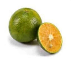 Citrus Sonkit 30 - 50cm